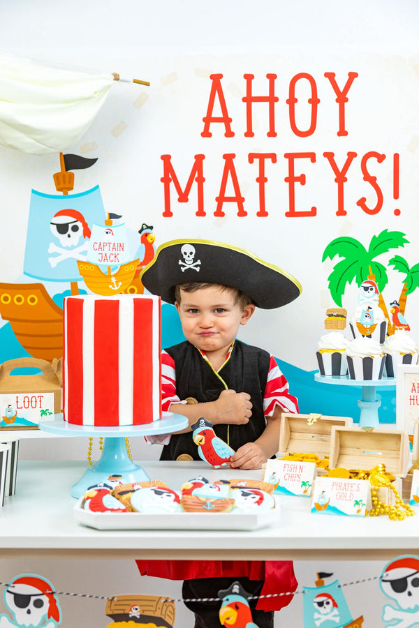 Pirate Party