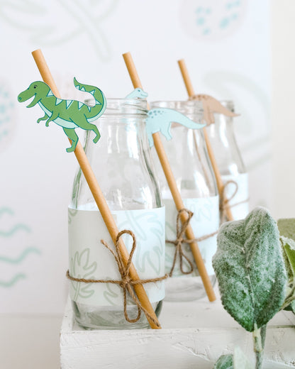 Dinosaur Paper Straws, set of 5