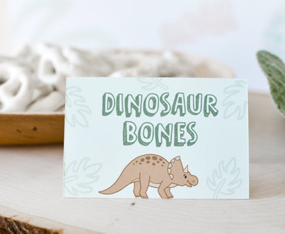 Dinosaur Tent Cards, set of 4