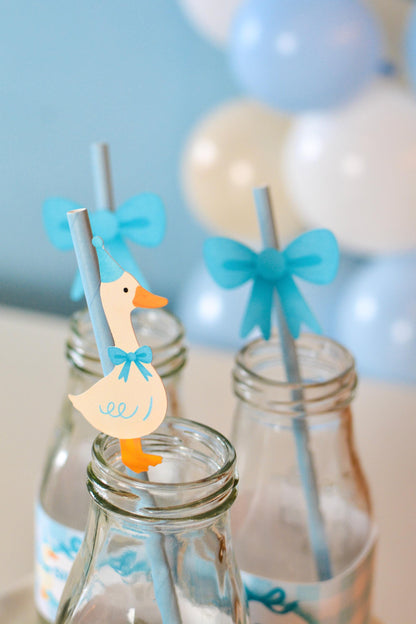 One Silly Goose Paper Straws, set of 5