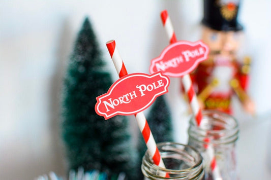North Pole Paper Straws, set of 5 for a Christmas birthday party, view 2