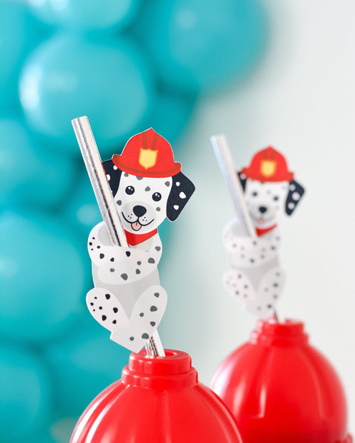 Firefighter Dalmatian Paper Straws, set of 5