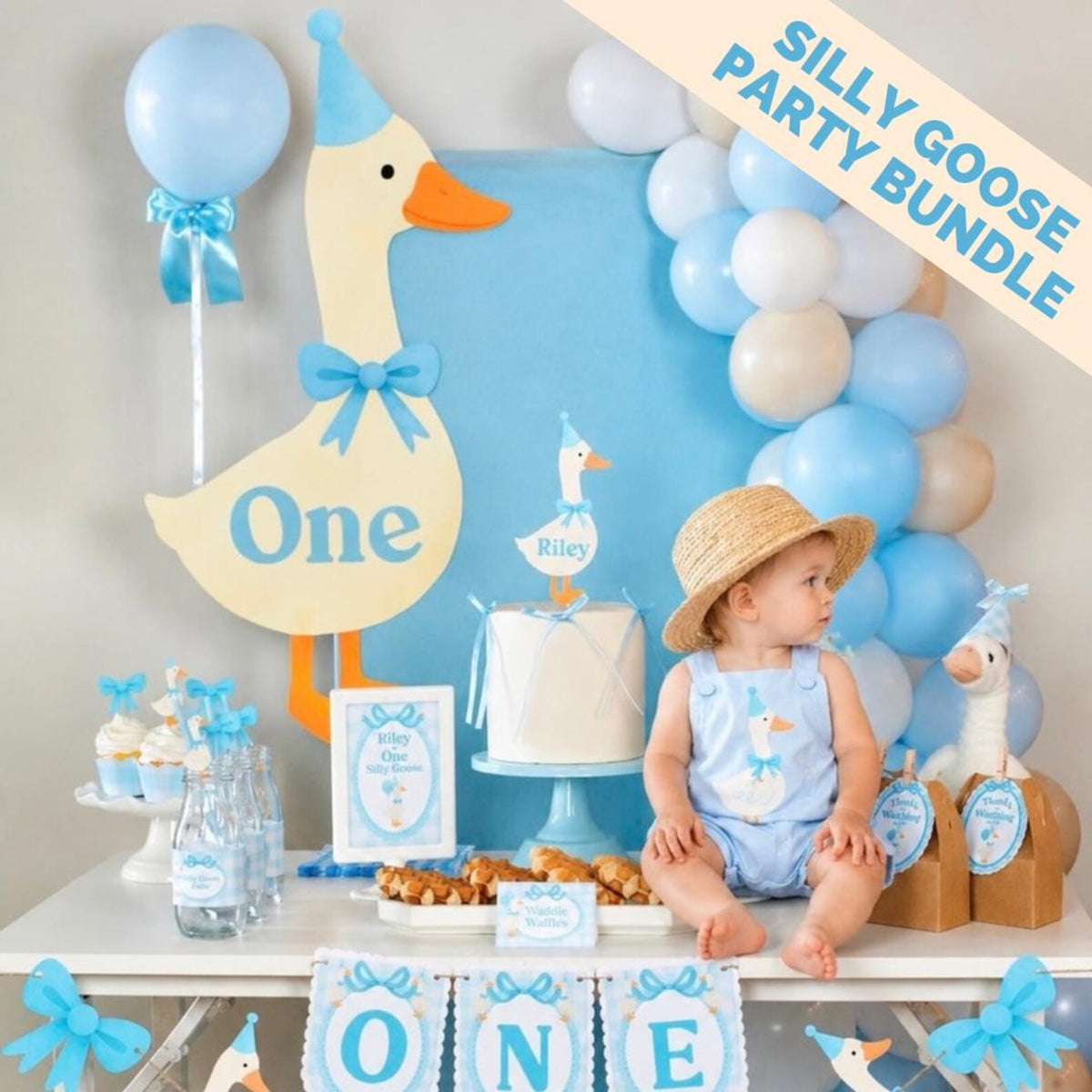 Personalized Silly Goose Party Bundle cover